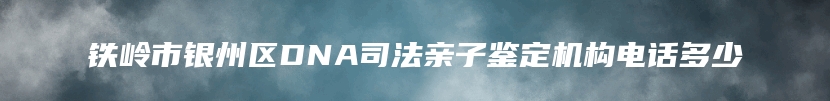 铁岭市银州区DNA司法亲子鉴定机构电话多少