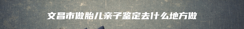 文昌市做胎儿亲子鉴定去什么地方做