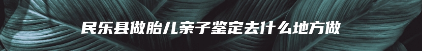 民乐县做胎儿亲子鉴定去什么地方做