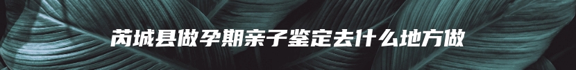 芮城县做孕期亲子鉴定去什么地方做