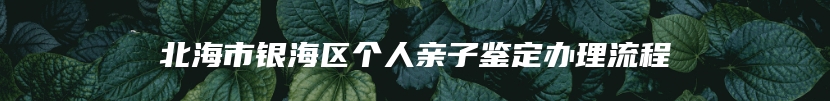 北海市银海区个人亲子鉴定办理流程