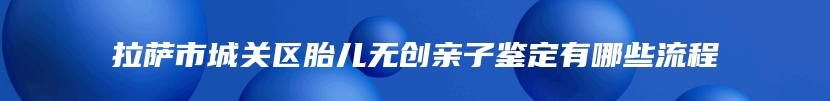 拉萨市城关区胎儿无创亲子鉴定有哪些流程