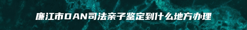 廉江市DAN司法亲子鉴定到什么地方办理