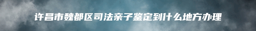 许昌市魏都区司法亲子鉴定到什么地方办理