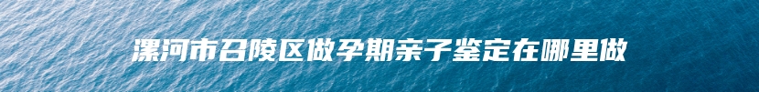 漯河市召陵区做孕期亲子鉴定在哪里做