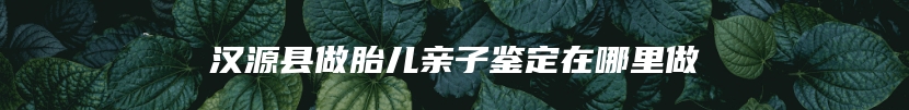 汉源县做胎儿亲子鉴定在哪里做
