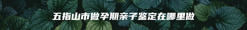 五指山市做孕期亲子鉴定在哪里做
