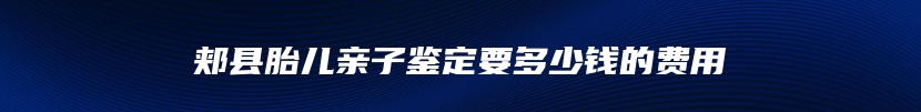郏县胎儿亲子鉴定要多少钱的费用