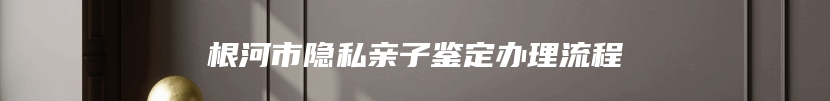 根河市隐私亲子鉴定办理流程
