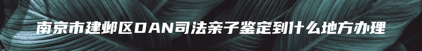 南京市建邺区DAN司法亲子鉴定到什么地方办理