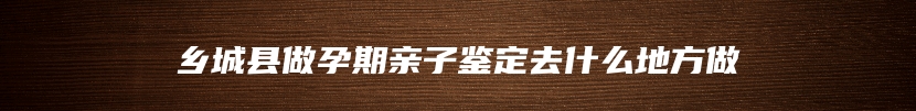 乡城县做孕期亲子鉴定去什么地方做