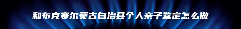 和布克赛尔蒙古自治县个人亲子鉴定怎么做