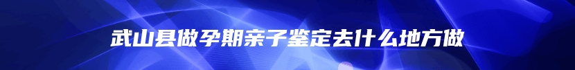 武山县做孕期亲子鉴定去什么地方做