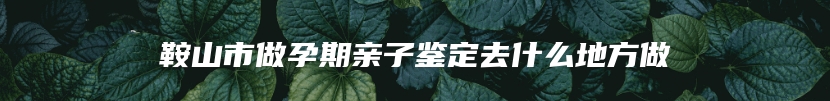 鞍山市做孕期亲子鉴定去什么地方做