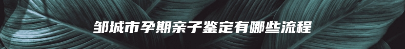 邹城市孕期亲子鉴定有哪些流程