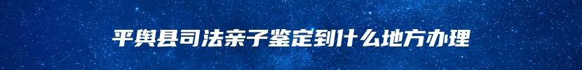 平舆县司法亲子鉴定到什么地方办理