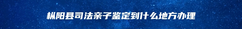 枞阳县司法亲子鉴定到什么地方办理