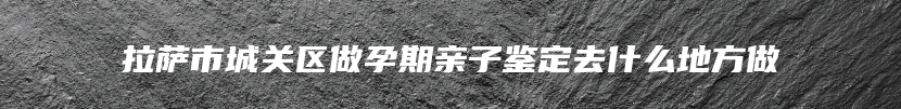 拉萨市城关区做孕期亲子鉴定去什么地方做