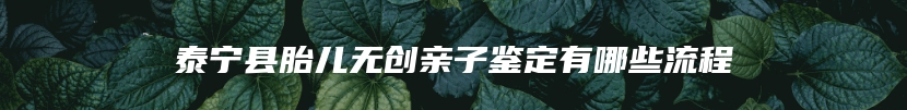 泰宁县胎儿无创亲子鉴定有哪些流程
