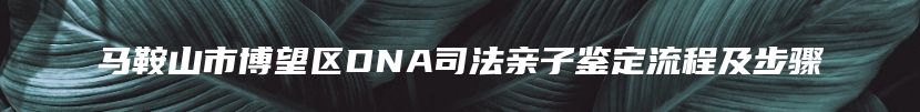 马鞍山市博望区DNA司法亲子鉴定流程及步骤