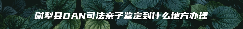 尉犁县DAN司法亲子鉴定到什么地方办理