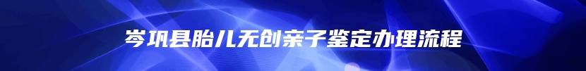 岑巩县胎儿无创亲子鉴定办理流程