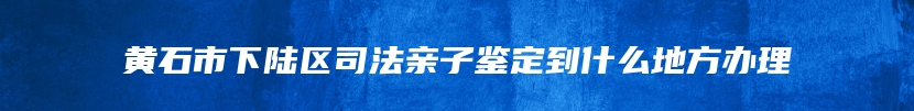 黄石市下陆区司法亲子鉴定到什么地方办理