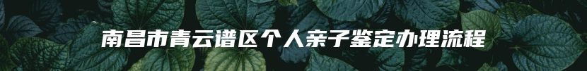 南昌市青云谱区个人亲子鉴定办理流程