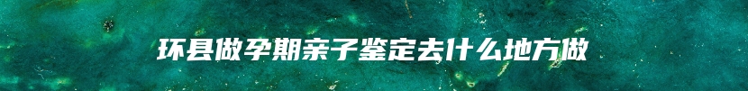 环县做孕期亲子鉴定去什么地方做