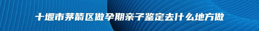 十堰市茅箭区做孕期亲子鉴定去什么地方做