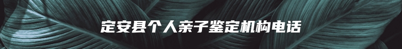 定安县个人亲子鉴定机构电话