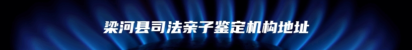 梁河县司法亲子鉴定机构地址