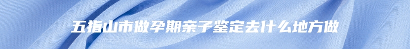 五指山市做孕期亲子鉴定去什么地方做