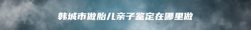 韩城市做胎儿亲子鉴定在哪里做