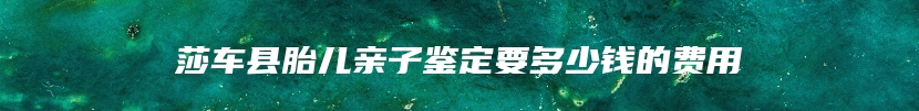 莎车县胎儿亲子鉴定要多少钱的费用