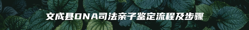 文成县DNA司法亲子鉴定流程及步骤