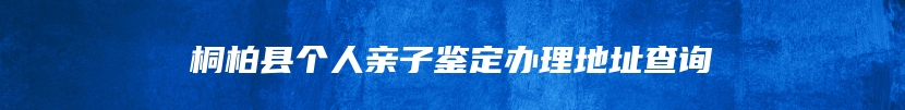 桐柏县个人亲子鉴定办理地址查询