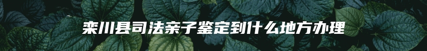 栾川县司法亲子鉴定到什么地方办理