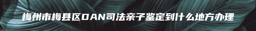 梅州市梅县区DAN司法亲子鉴定到什么地方办理