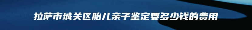 拉萨市城关区胎儿亲子鉴定要多少钱的费用