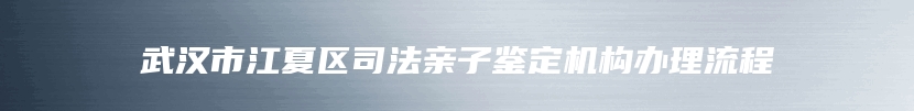 武汉市江夏区司法亲子鉴定机构办理流程