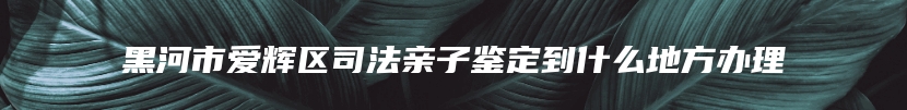 黑河市爱辉区司法亲子鉴定到什么地方办理