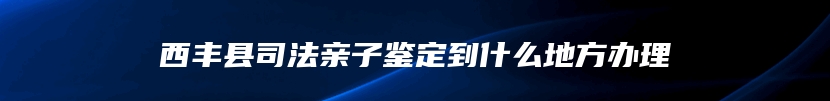 西丰县司法亲子鉴定到什么地方办理