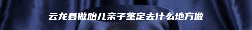 云龙县做胎儿亲子鉴定去什么地方做