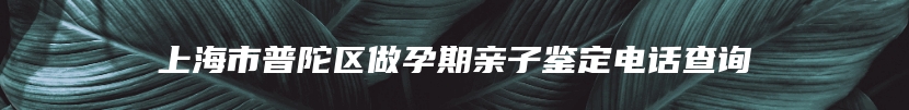 上海市普陀区做孕期亲子鉴定电话查询