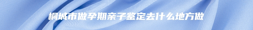 桐城市做孕期亲子鉴定去什么地方做