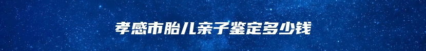 孝感市胎儿亲子鉴定多少钱