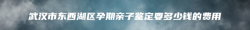 武汉市东西湖区孕期亲子鉴定要多少钱的费用