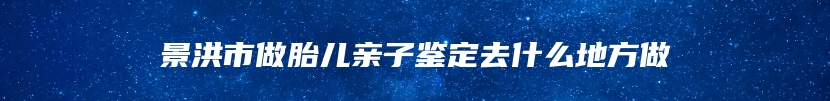 景洪市做胎儿亲子鉴定去什么地方做