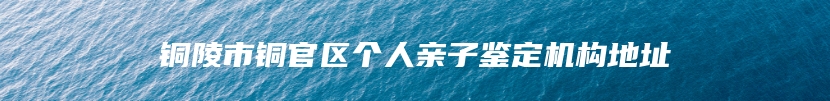 铜陵市铜官区个人亲子鉴定机构地址